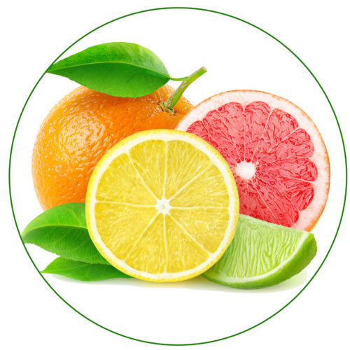 10 TOP EYE HEALTHY FOODS Discovery Eye Foundation