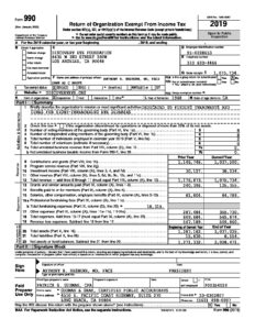 2019 - Form 990 - Discovery Eye Foundation