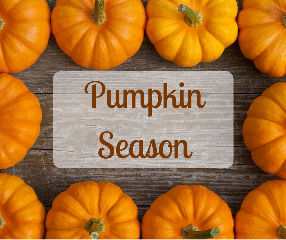 season of the pumpkin
