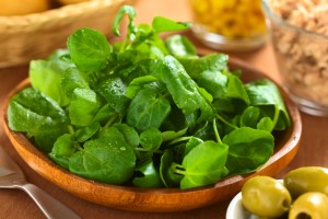 watercress - 7 Spring Fruits & Vegetables